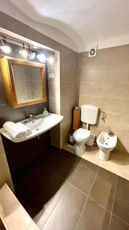 Ultracentral Apartment Arad Zewnętrze zdjęcie
