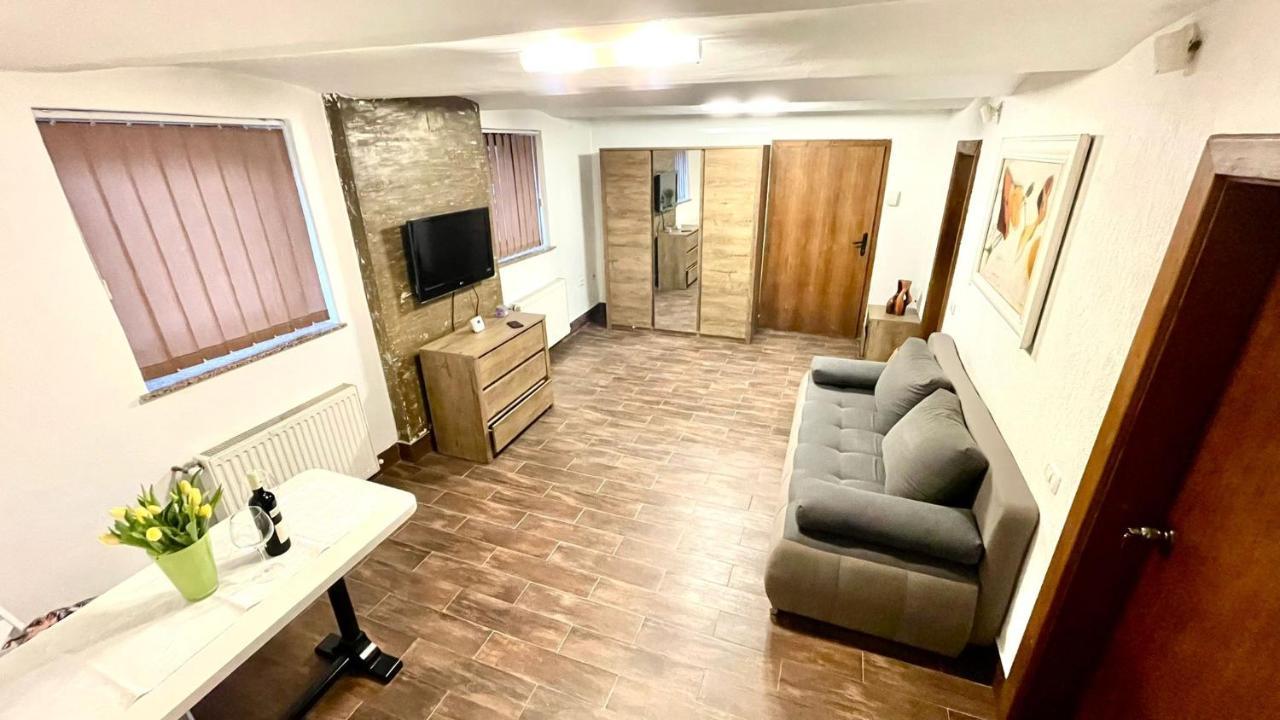 Ultracentral Apartment Arad Zewnętrze zdjęcie